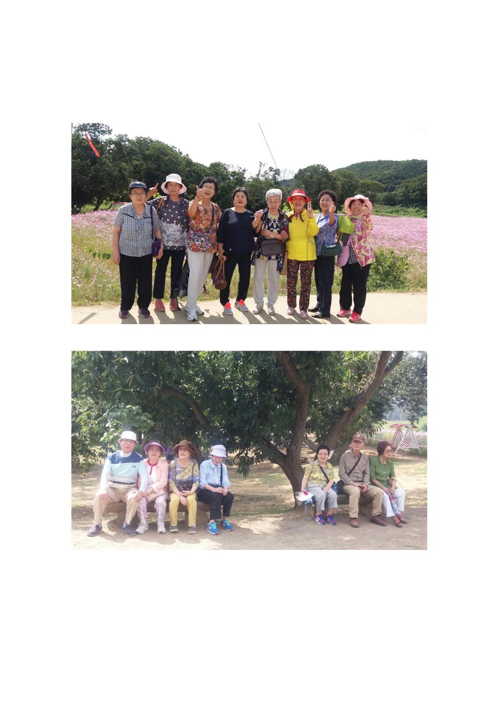 2016년 노인 맞춤형 정서지원 9월 문화체험 활동사진